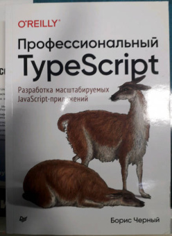 Борис Черный: Профессиональный TypeScript. Разработка масштабируемых JavaScript-приложений