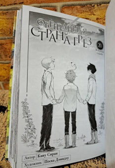 Каиу Сираи: Обещанная страна грёз. Книга 10