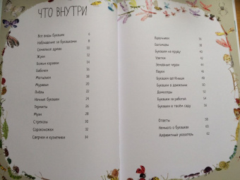 Зоммер, Тейлор: Большая книга букашек