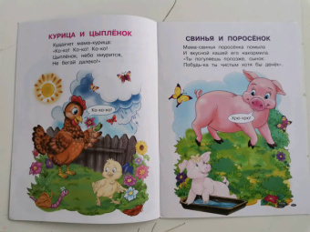 Ирина Шестакова: Домашние животные