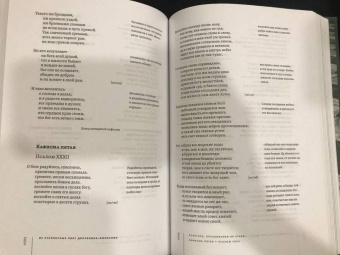 Федор Дмитриев-Мамонов: Дворянин-философ. "Известия", рукописные книги. 1770-1780