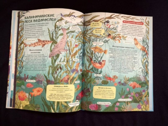 Амандин Тома: Через океаны