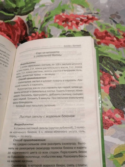 Алевтина Баранова: Крапива, щавель, подорожник, сныть, черемша, ботва