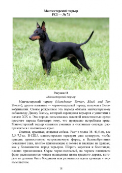 Дмитрий Тарнуев: Охотничьи собаки. Учебное пособие для СПО