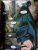 Чак Диксон: Джокер. Адвокат дьявола