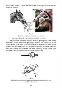 Анникова, Козлов: Клиническое исследование животных. Учебное пособие для СПО