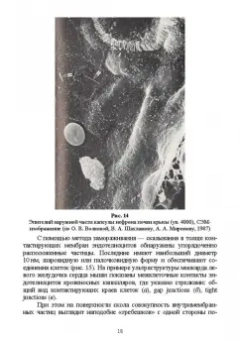 Сахно, Ватников, Ленченко: Практическая электронная микроскопия. Учебное пособие для СПО