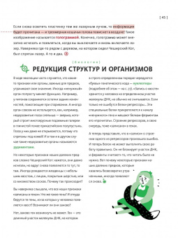 Баюк, Виноградова, Кноп: Алиса в Стране наук