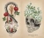 Клэр Гудчайлд: Antique Anatomy Tarot. Таро античной анатомии Клэр Гудчайлд: Antique Anatomy Tarot. Таро античной анатомии