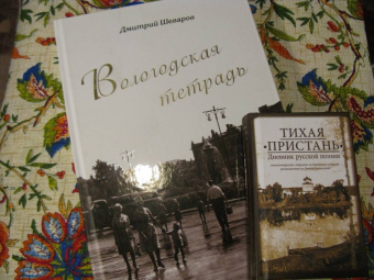Тихая пристань. Дневник русской поэзии