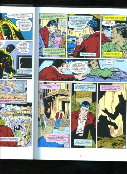 Старлин, Вулфмен: Бэтмен. Смерть в семье