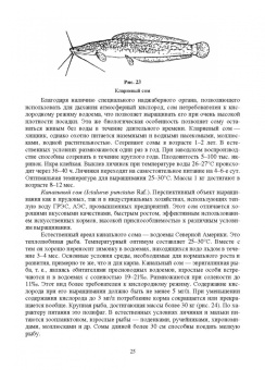 Власов, Жигин: Технология производства продукции биоресурсов. Учебное пособие