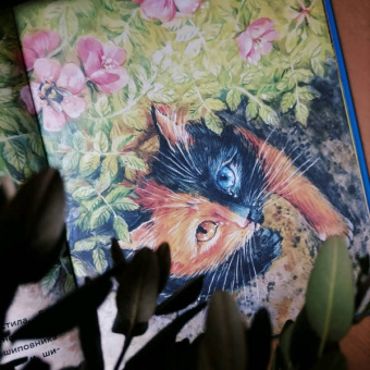 Анна Федулова: Вместе не страшно