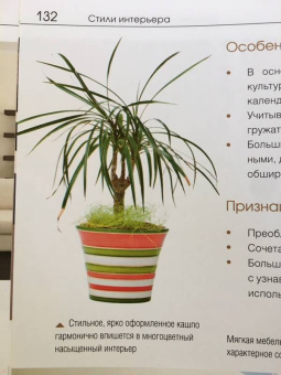 Варвара Ахремко: Сам себе дизайнер интерьера. Иллюстрированное пошаговое руководство