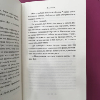 Рэй Брэдбери: Лето, прощай