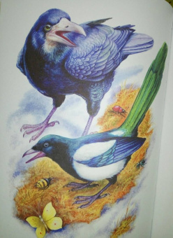 Николай Сладков: Бюро лесных услуг