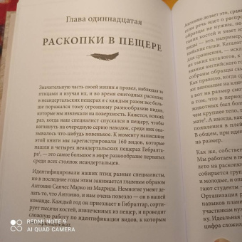 Клайв Финлейсон: Умный неандерталец. Охота на птиц, пещерное искусство и когнитивная революция