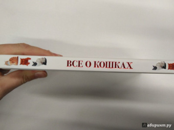 Николай Непомнящий: Все о кошках