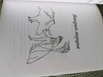 Ринат Валиуллин: Легкомыслие