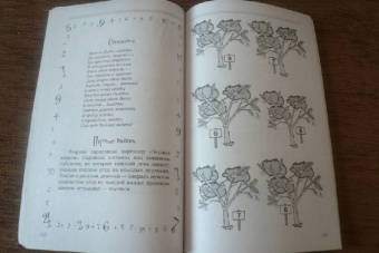 Ирина Асеева: Играем в цифры от 0-10. Учимся считать, писать, думать