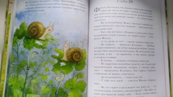 Юлия Симбирская: Фея Фиалка, колдунья Календула и охапка медведей