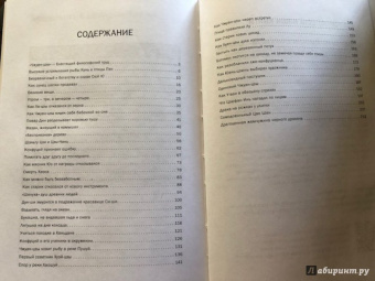 Фэй Сюэ: Притчи Чжуан-цзы