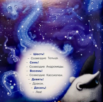 Ирина Зартайская: Пряник и Вареник. Звездочёты