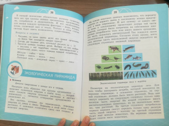 Татьяна Шпотова: Естествознание. Азбука экологии. 3 класс. Учебник. ФГОС