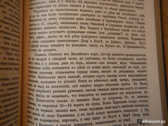 К. Келлер: Жизнь моря