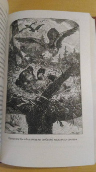 Рид Майн: Письмо и пуля