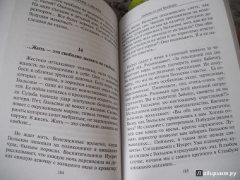 Эльчин Сафарли: …нет воспоминаний без тебя. Любовь со дна Босфора