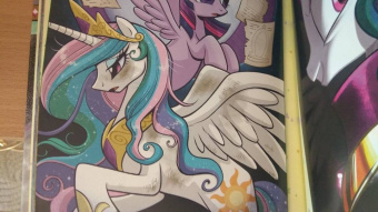 Кэти Кук: My Little Pony. Дружба - это чудо. Том 5