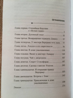 Кэролайн Данфорд: Смерть в сумасшедшем доме