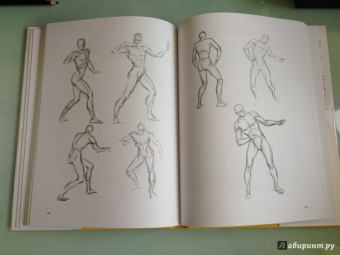 Эндрю Лумис: Искусное рисование