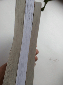 Михаил Лермонтов: Герой нашего времени