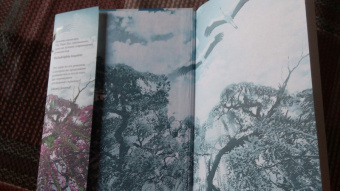 Тван Тан: Сад вечерних туманов