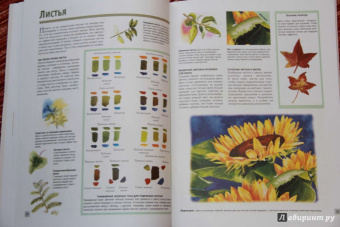 Лучшие уроки. Рисуем акварелью