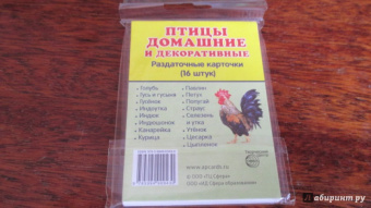 Раздаточные карточки "Птицы домашние и декоративные"  (16 штук)