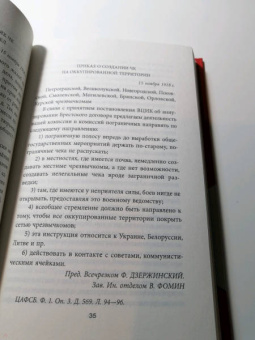 Феликс Дзержинский: Государственная безопасность