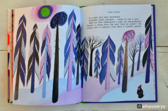 Софья Прокофьева: Не буду просить прощения