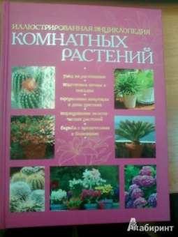 Иллюстрированная энциклопедия комнатных растений