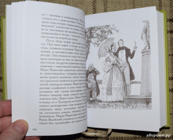 Александр Пушкин: Капитанская дочка. Дубровский