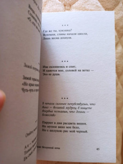 Мацуо Басё: Во тьме безлунной ночи