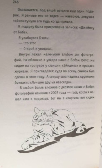 Джеймс Боуэн: Подарок уличного кота Боба