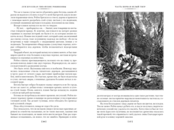 Луи Буссенар: Гвианские робинзоны