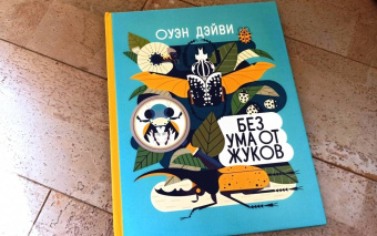 Оуэн Дэйви: Без ума от жуков