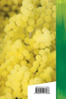 Эдуард Асадов: Что такое счастье