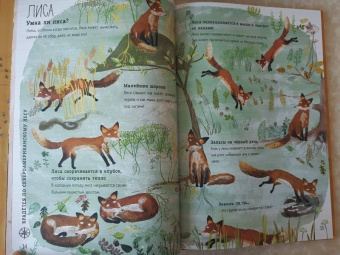 Зоммер, Тейлор: Большая книга зверей