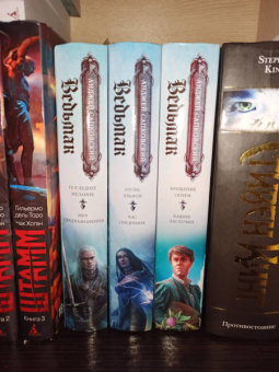 Анджей Сапковский: Крещение огнем. Башня Ласточки