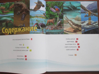 Жизнь животных. Реки и озера